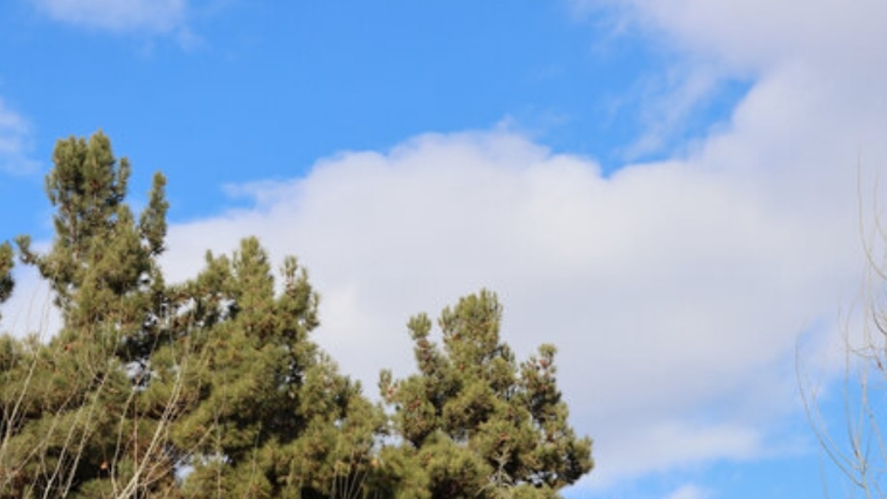 هوای تهران پاک شد