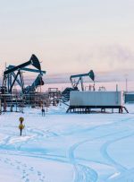 بهای نفت ۵ درصد کاهش یافت