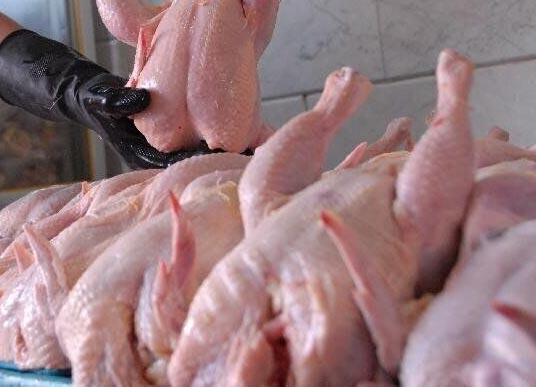 قیمت مرغ بالای ۴۰۰ هزارتومان اجحاف به مردم و تولیدکنندگان است