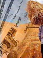 پرداخت ۱۷ همت دیگر به گندم‌کاران/ مجموع مطالبات پرداخت‌شده به ۱۱۰.۱ همت رسید