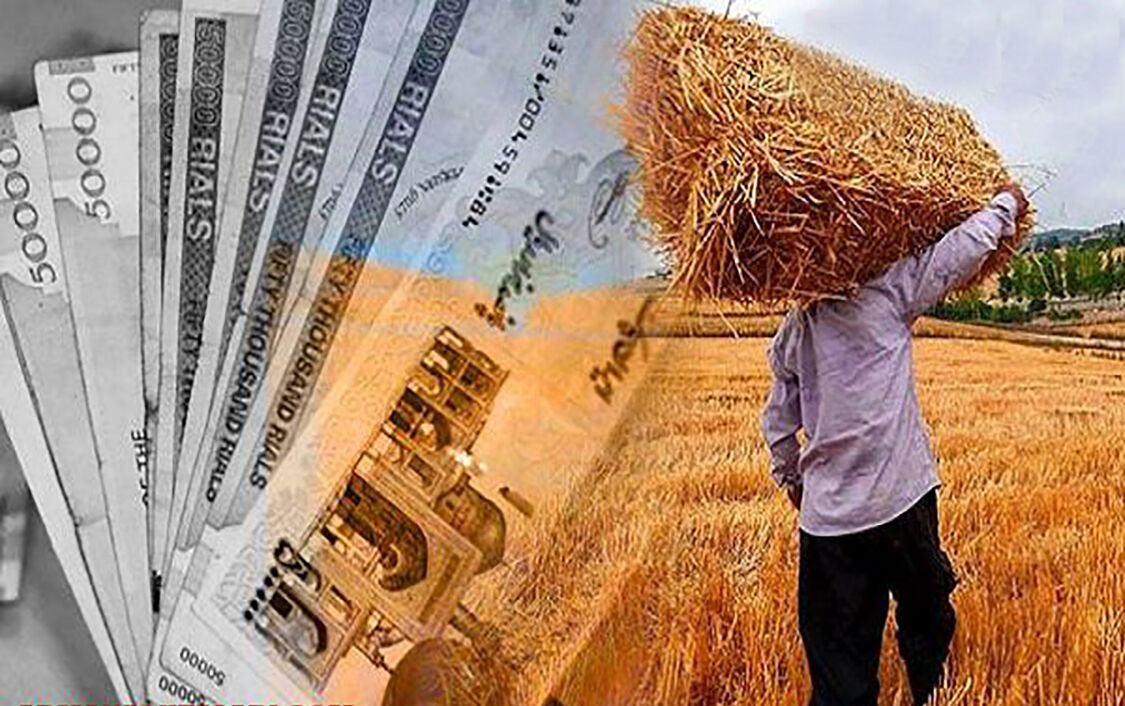 پرداخت ۱۷ همت دیگر به گندم‌کاران/ مجموع مطالبات پرداخت‌شده به ۱۱۰.۱ همت رسید