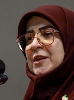 مهاجرانی: دولت بازسازی مناطق آسیب دیده را در دستور کار قرار داده‌است