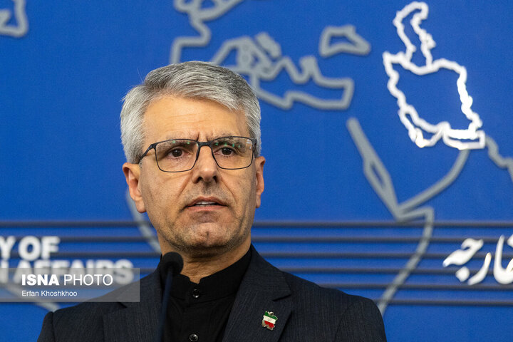 بقایی: دیپلماسی تعطیل‌بردار نیست/ تفاهم اسلام‌آباد وارد بحران شده است