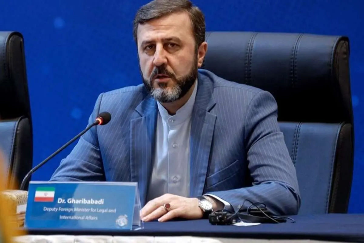 گزارش غریب‌آبادی از دهلی‌نو؛ مواضع اصولی ایران در بیانیه نهایی بریکس بازتاب یافت
