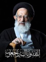 پیام تسلیت رییس سازمان حفاظت محیط‌زیست در پی ارتحال آیت الله شبیری زنجانی