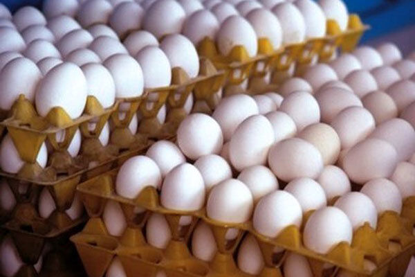 کشور ظرفیت تولید ۲.۵ میلیون تن تخم‌ مرغ را دارد